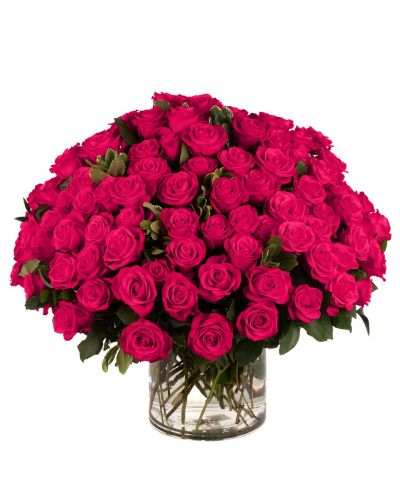 100 Hot Pink Roses 