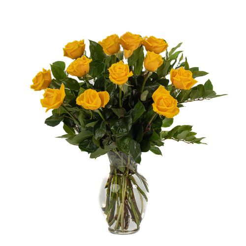 One Dozen Yellow Roses