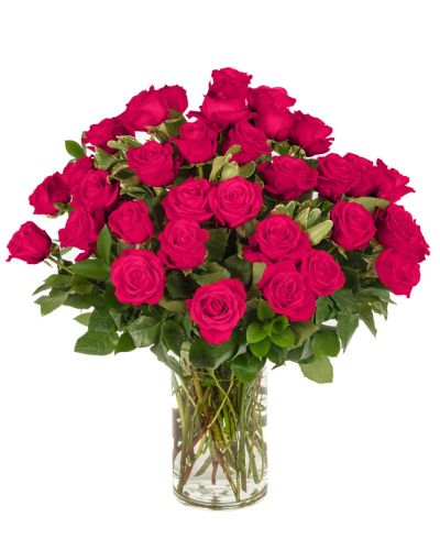 Three Dozen Hot Pink Roses 