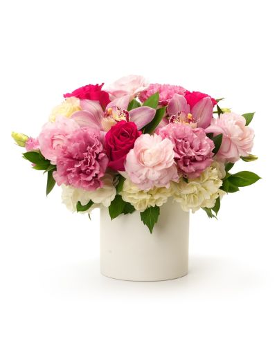 Rosy Affection
