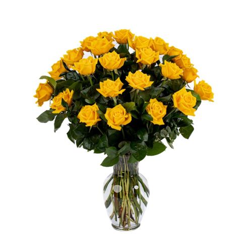 Double the Dozens 12 = 24 Yellow Roses